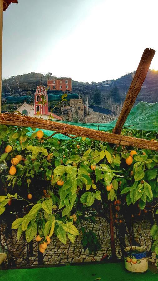Вилла Il Limoneto Degli Angeli Минори Экстерьер фото