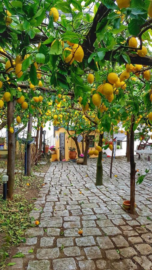 Вилла Il Limoneto Degli Angeli Минори Экстерьер фото