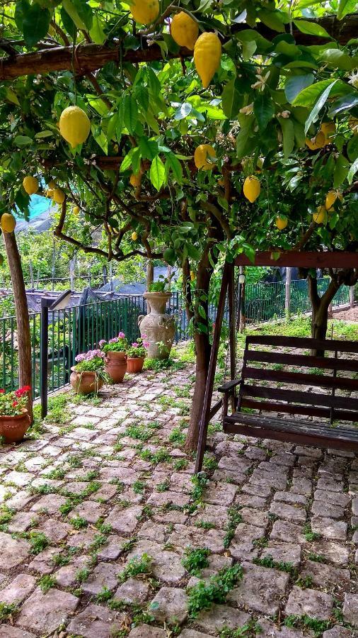 Вилла Il Limoneto Degli Angeli Минори Экстерьер фото